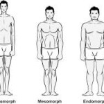 Body Types – Part 1