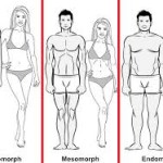 Body Types – Part 2