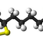 Alpha Lipoic Acid – Part 1