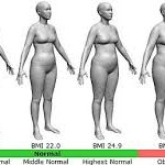 BMI for Women