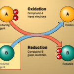 Iodine and Thyroid